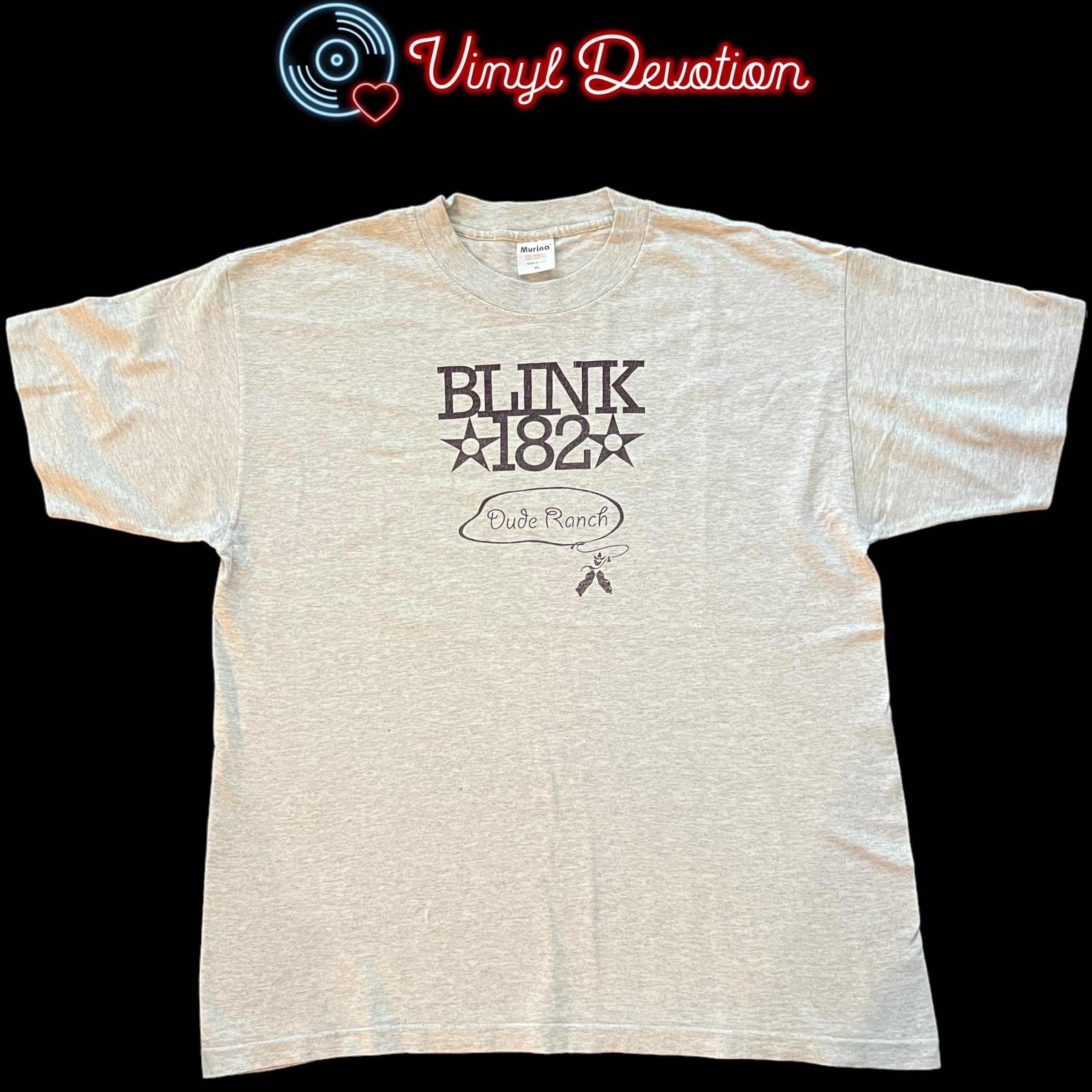 Blink-182 buy dude ranch hoodie