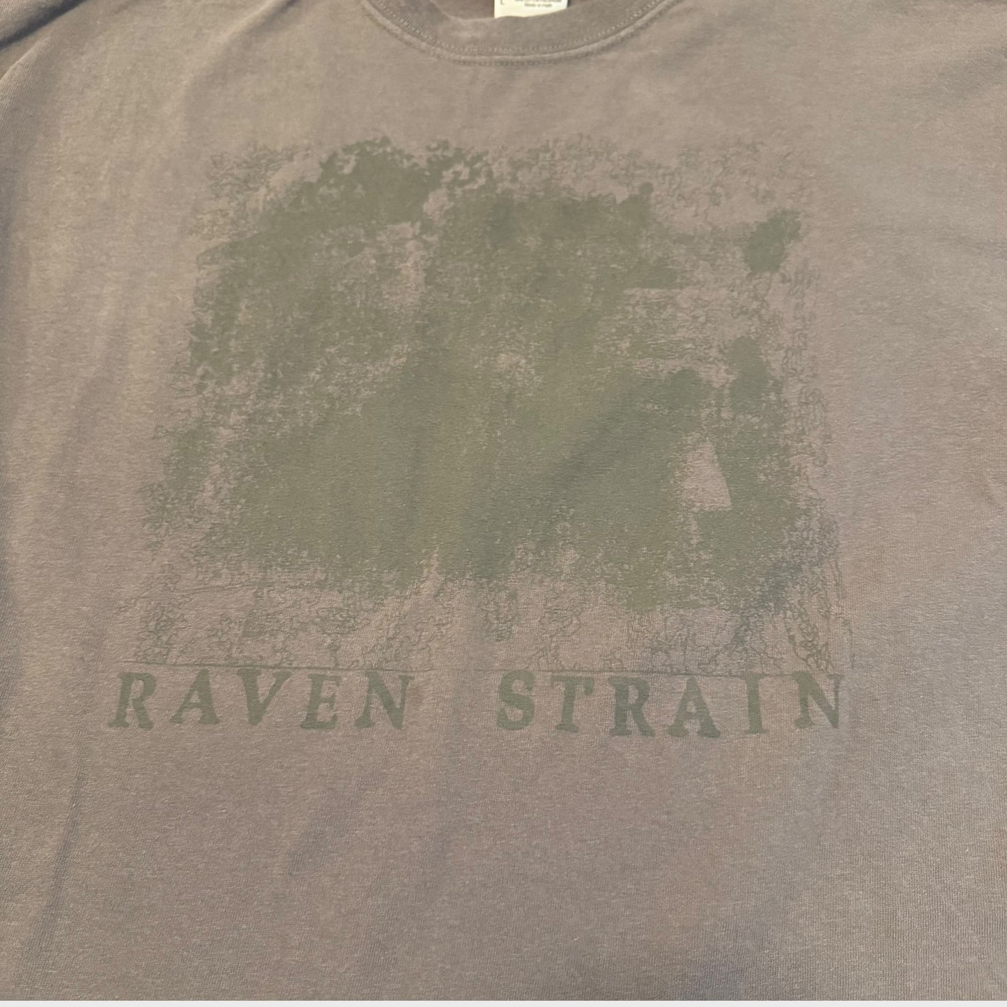 Raven Strain Noise Band Gray T-Shirt Size L