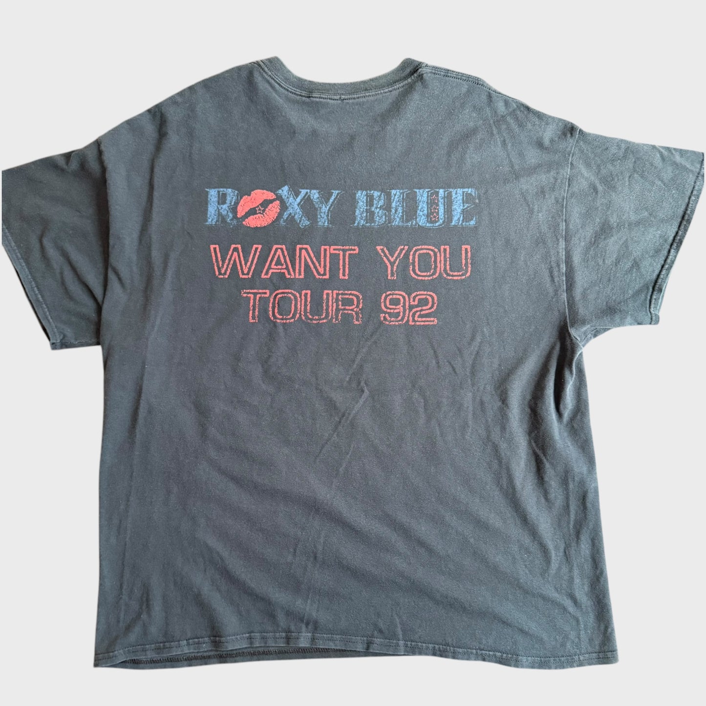 Roxy Blue Band Want Some 92 Tour T-Shirt Size XL Y2K